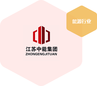 江苏中能集团有限公司